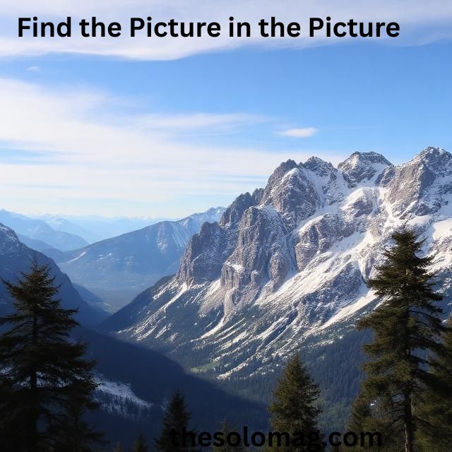 Find the Picture in the Picture